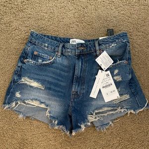 zara jean shorts